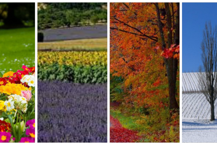 Les Saisons sur une palette